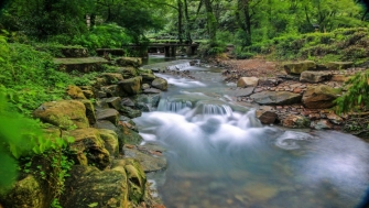 讓天更藍，水更清——浙江扎實(shí)做好中央生態(tài)環(huán)保督察整改綜述
